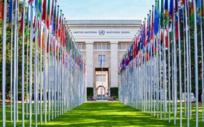 Joint submission to the CEDAW